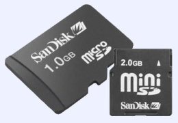 SanDisk microSD en miniSD kaartje